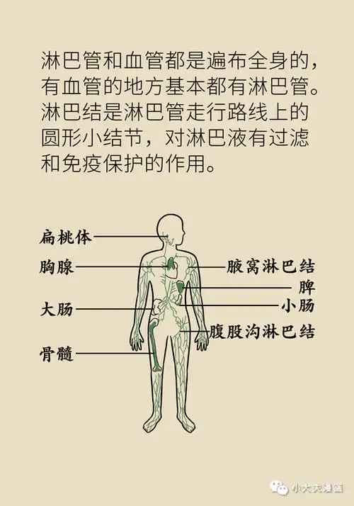 研究_中医药_生物