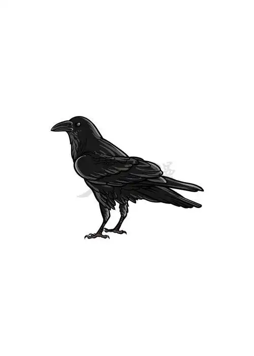 画乌鸦小教程