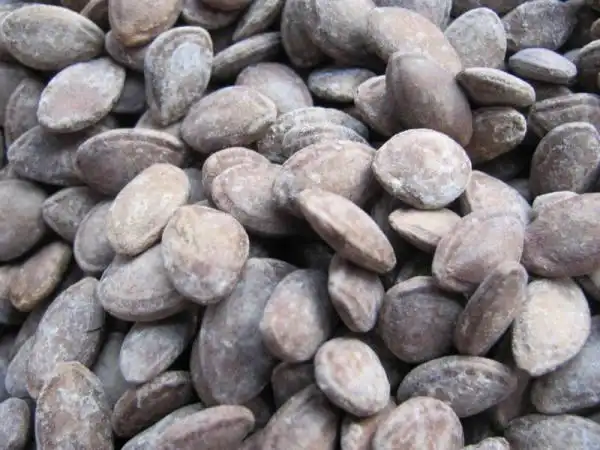 供应瓜蒌籽 瓜蒌仁产地** 出口品质