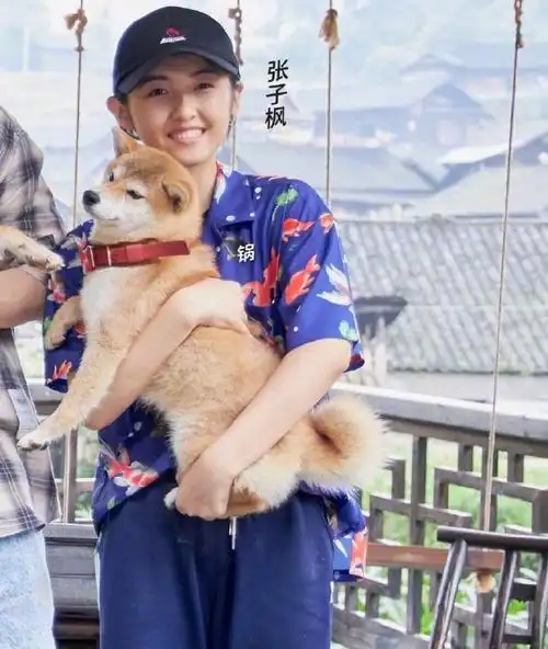 张子枫抱狗姿势