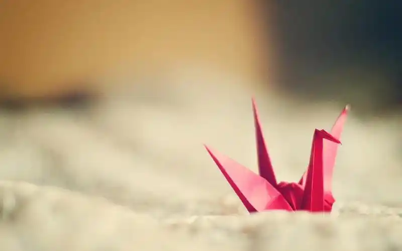 关于千纸鹤的爱情说说配图「伤感」 _qq说说网