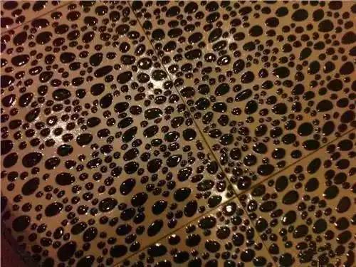 密集恐惧症不是病50张密恐图敢不敢接受挑战