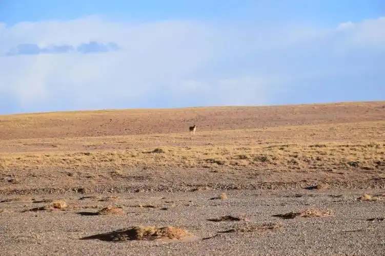 中国最美最神秘的四大无人区,你敢去吗?