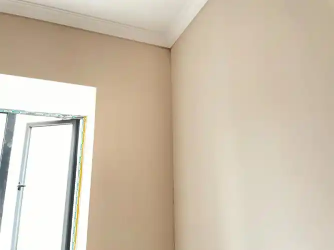 刷漆多乐士全屋白骆驼挺好的