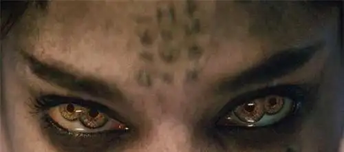 历史上哪些人拥有"双瞳孔"?他们看到的世界,和我们有什么不同