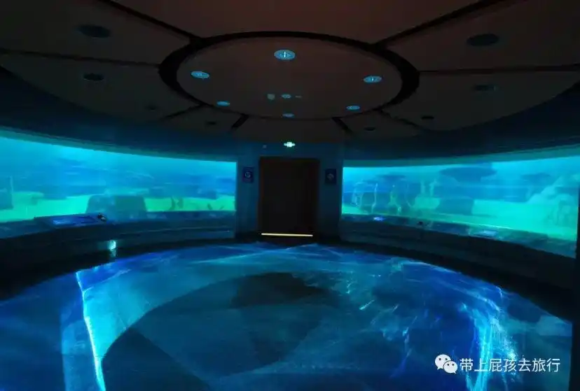 全球最大水下章鱼堡!海底小纵队实景海洋馆来了!
