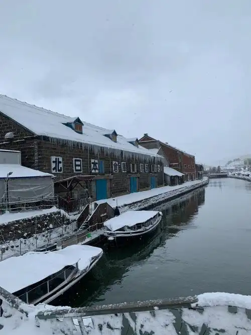 没有疫情的日子日本北海道
