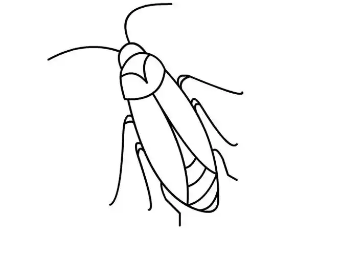 蟑螂怎么画 蟑螂的画法-养娃家