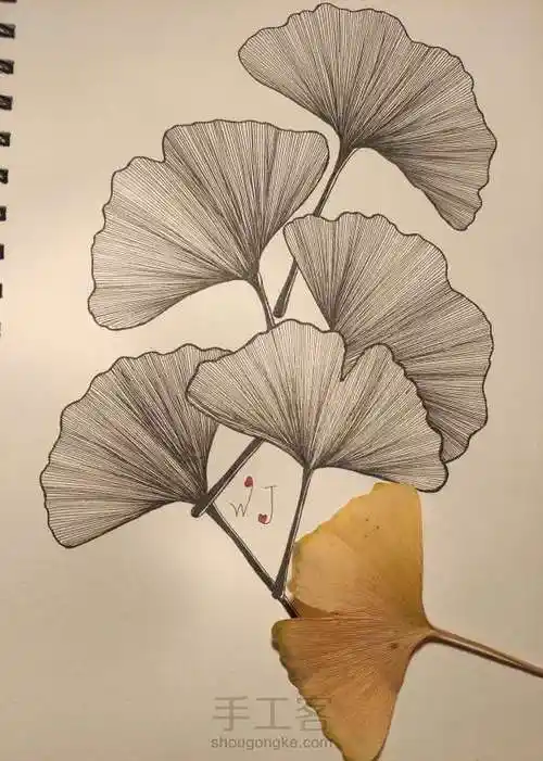 禅绕画之银杏叶