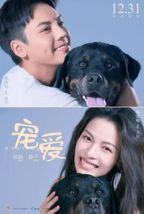 预售开启宠爱陈伟霆告别爱犬钟楚曦泪崩大哭