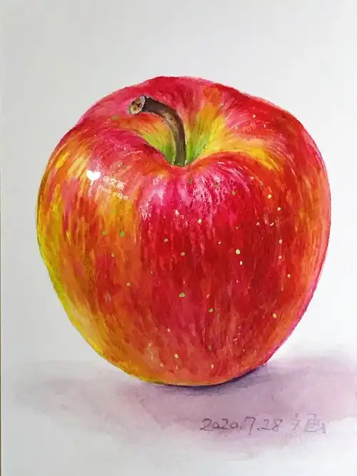 水彩画苹果写生含详细步骤