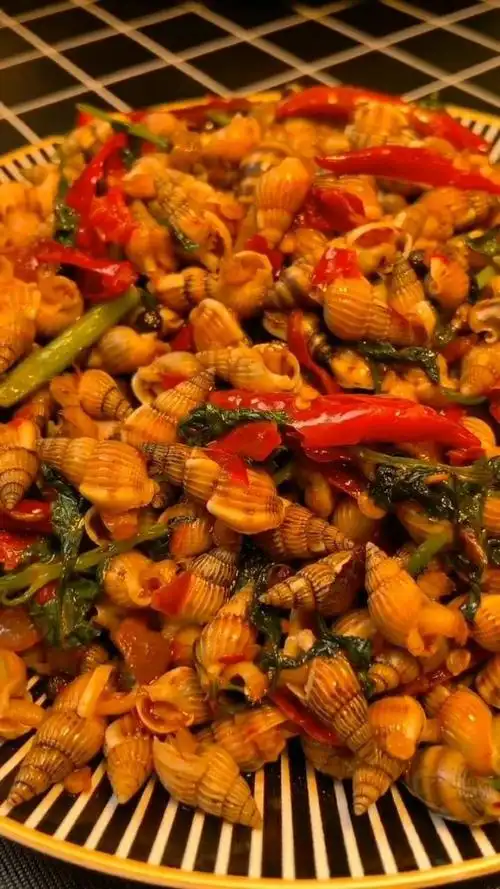 炒麦螺啊啊啊啊啊