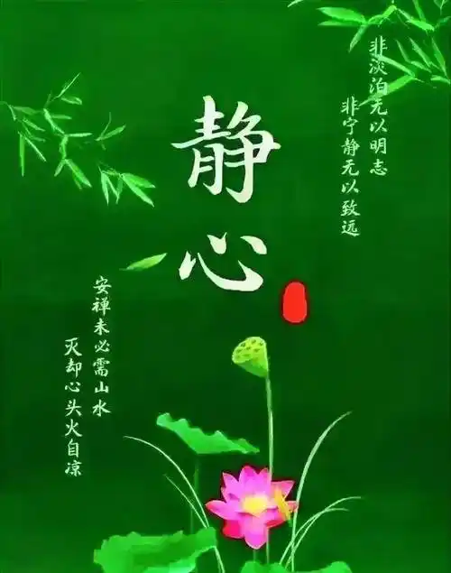 发自内心的早安话语～记在心里,早上问好,快乐健康,与你相伴_生活