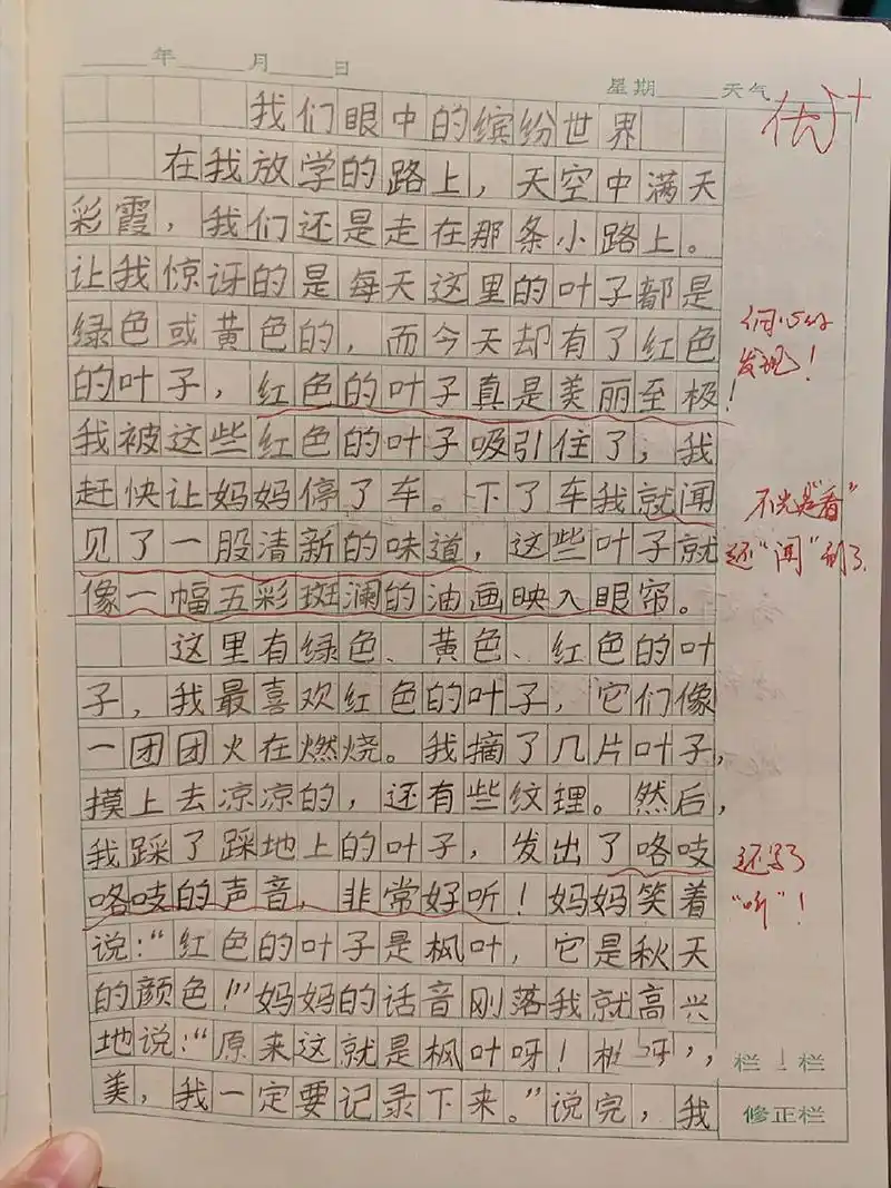 三年级语文作文 我们眼中的缤纷世界