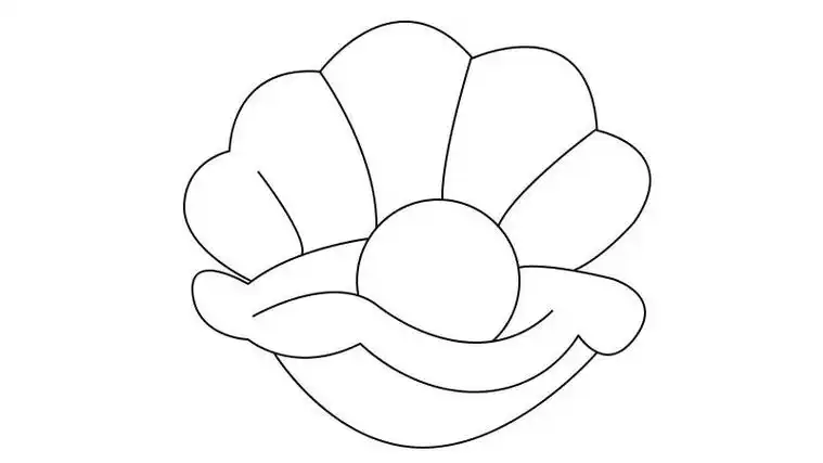 贝壳简笔画画法 贝壳简笔画怎么画