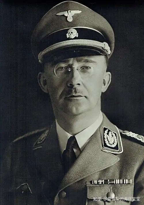 二战德国武装党卫军军衔标志