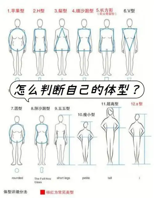 1分钟判断你是什么身材!有这么多类型?(上)