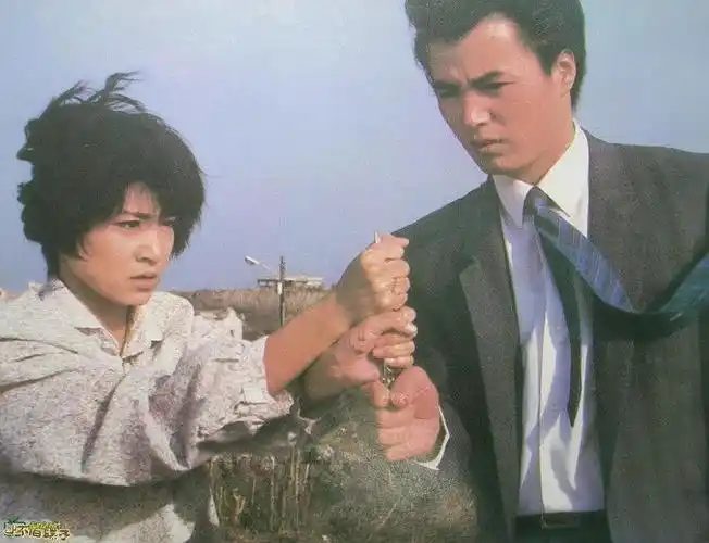 海鸥飞处彩云飞