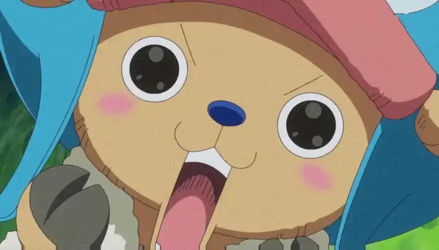 海贼王乔巴 - 堆糖,美图壁纸兴趣社区