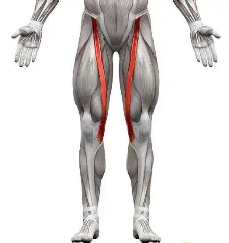 女人突然暴长肌肉