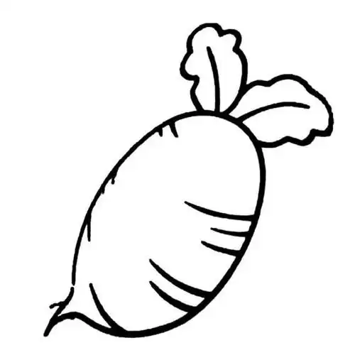 萝卜简笔画