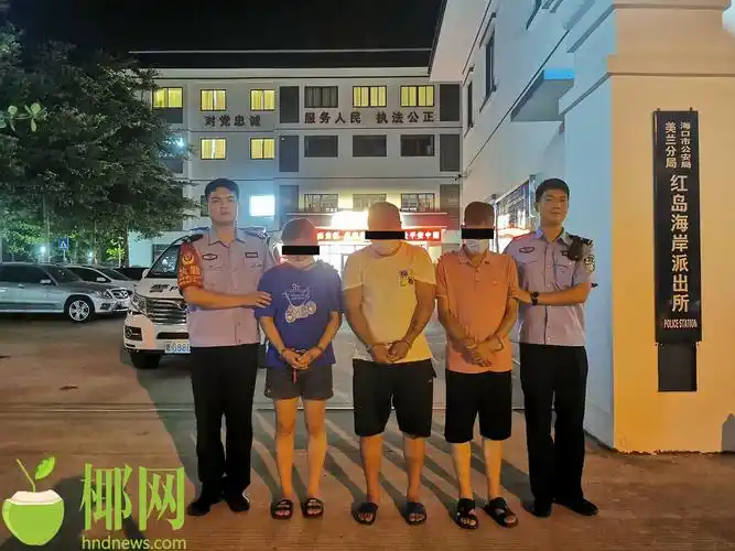 伪装成路政维修工人盗窃电缆海口海岸警察抓获犯罪嫌疑人5名