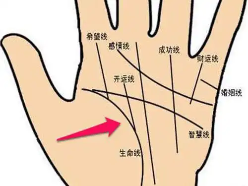 婚姻线怎么看几段姻缘 从婚姻线看何时结婚
