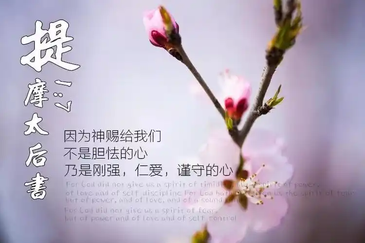 太美了圣经经文金句图片