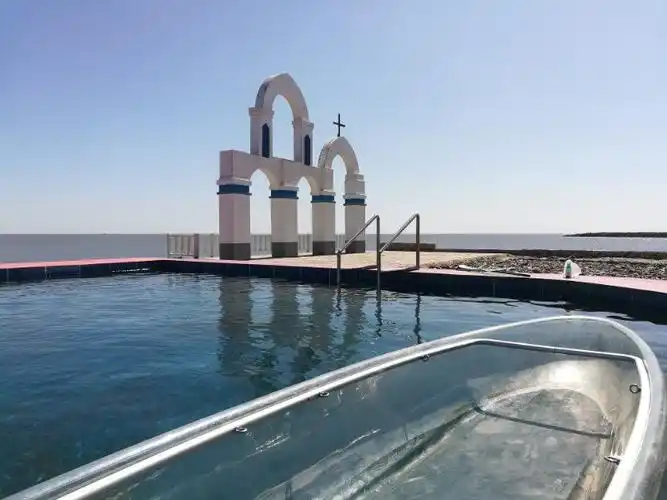 东港海洋红赏菊花节