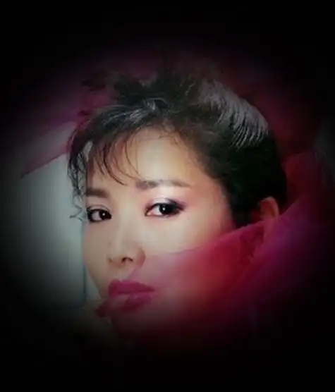 龙飘飘全部单曲