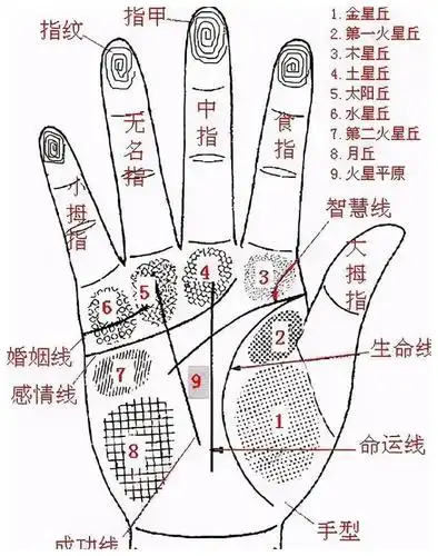 每个人的手纹都不一样一起来通过手纹看看你的身体状况