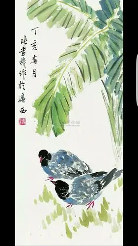 芭蕉树及其写意画法