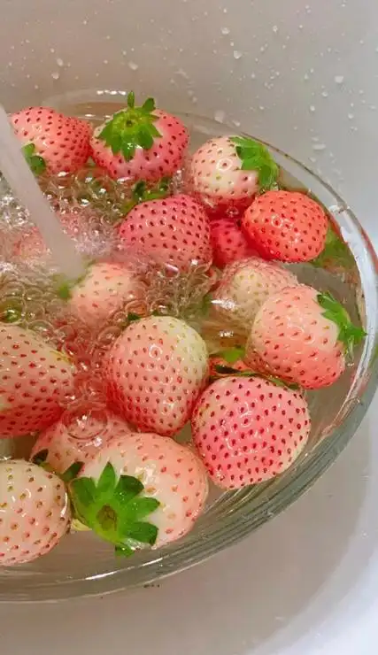 ins风格超火的草莓壁纸 很甜很温柔的草莓皮肤