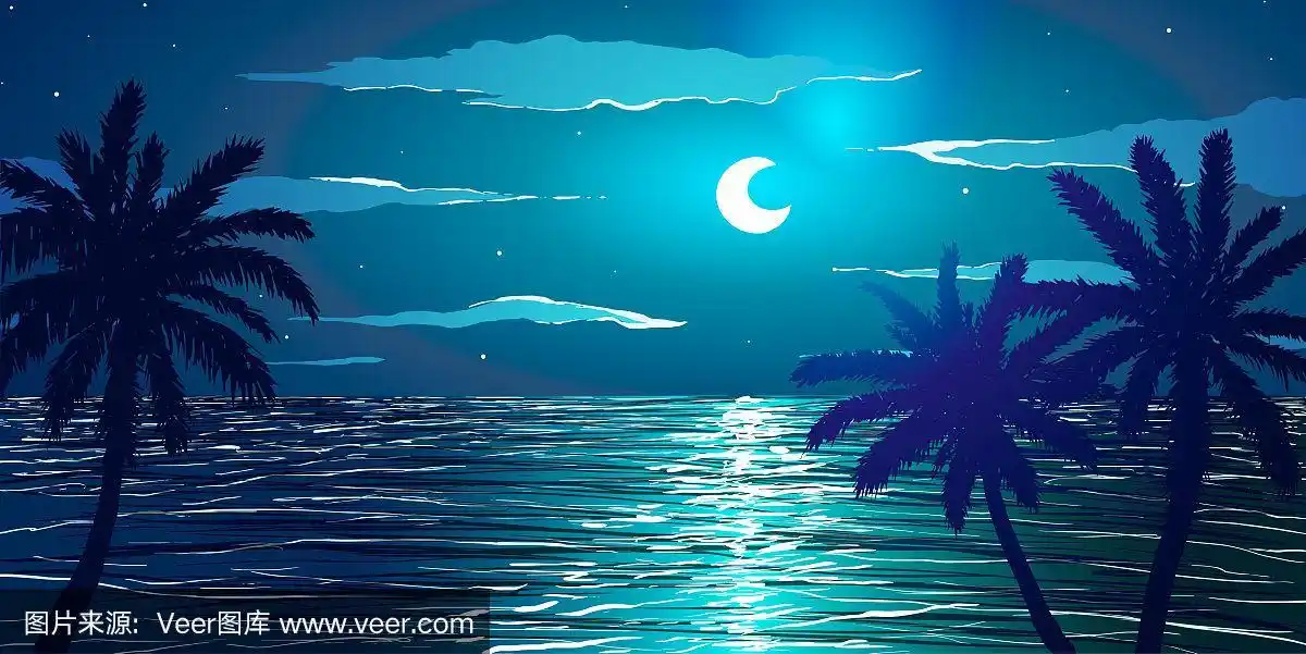 海岸边的棕榈树.