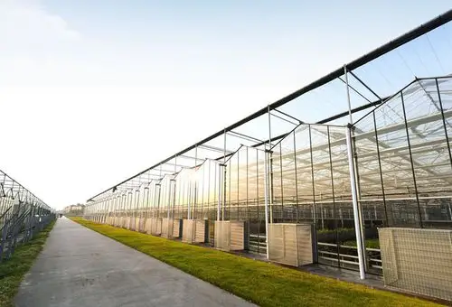 青海博瀚农业温室大棚