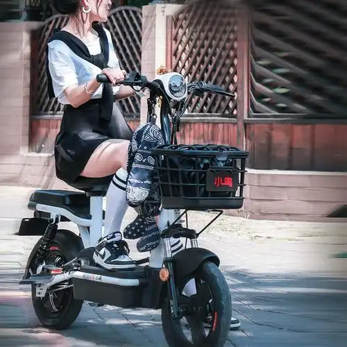 小鸟电动车新国标男女轻便小型电瓶车铅酸锂电电动自行车g46g48