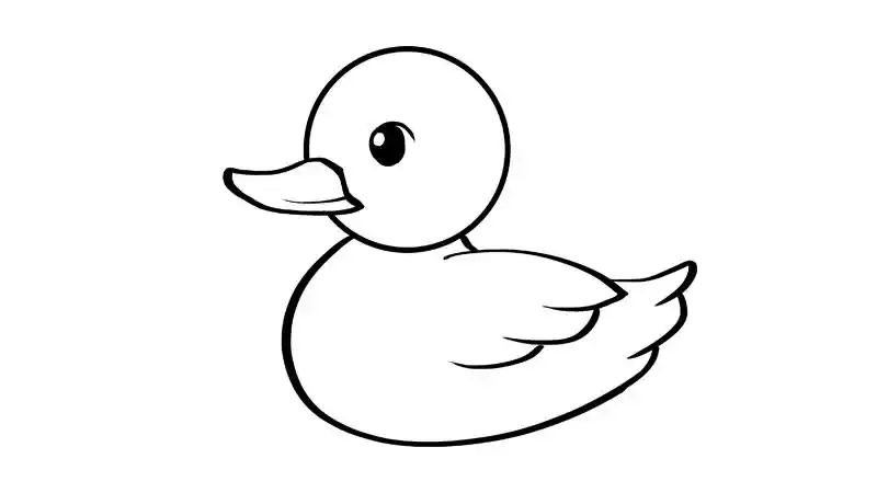 鸭的简笔画法