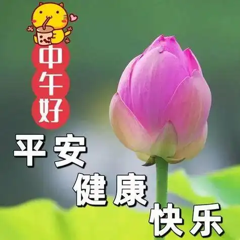 中午好图片大全中午好问候午安美图