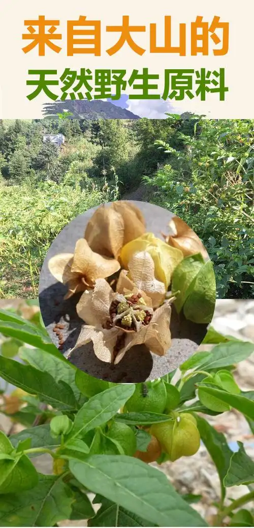 冰粉籽 手搓凉粉冰子商用工配料套餐组合特木瓜爱玉四川仔家