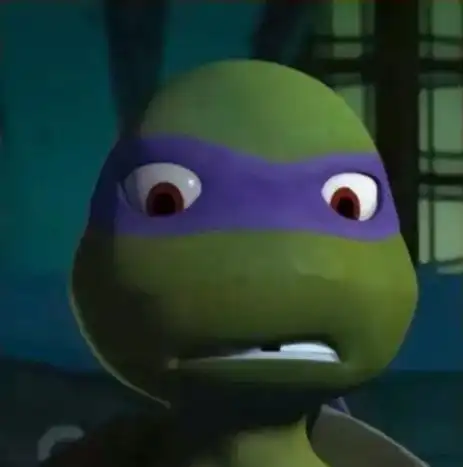 还是个恋爱脑00 #忍者神龟#多纳泰罗 - 抖音