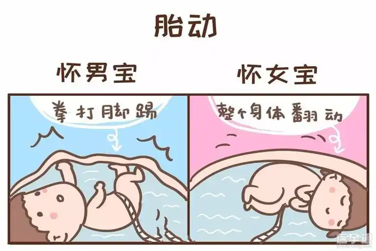 九个最准怀男孩征兆男宝的暗示你收到了吗