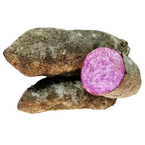 现挖新鲜紫山药脚板薯紫淮山大薯毛薯江西农家特产2斤5斤种苗种子