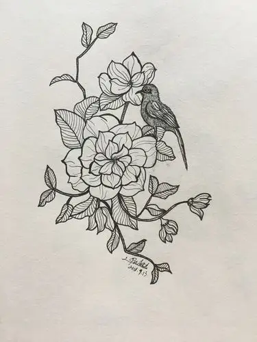 黑白线条[z动心]