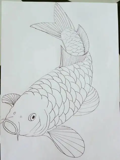 简单又好看的鱼怎么画各种各样的小鱼简笔画图片大全