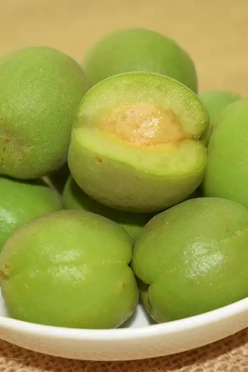 青梅新鲜2022福建诏安高山现摘野生泡酒用酵素水果散装5斤酸梅子