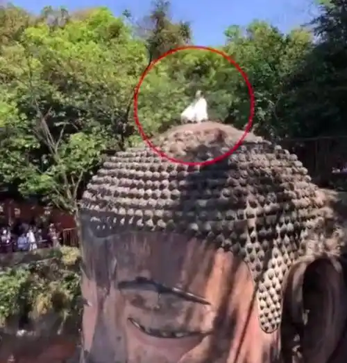 官方通报:男子在乐山大佛头顶"小便".