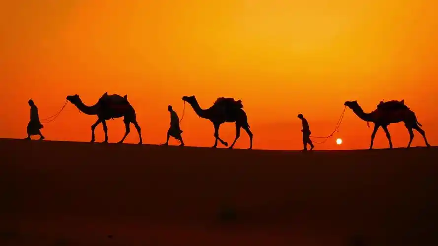 「丝路骆驼」传世酱香,延华夏记忆,承岁月祈愿.