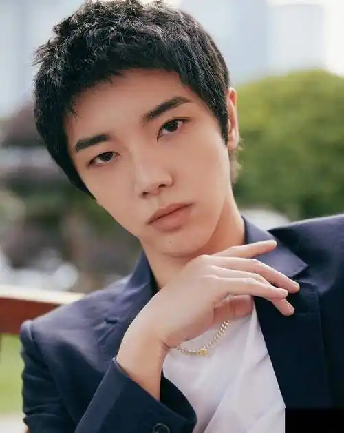 原创张碧晨远走高飞生女娃华晨宇承认被赞有担当网友不是代孕就行