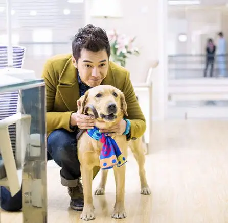 图神犬小七最新照片出炉女神加萌犬宅男开启影视新标配