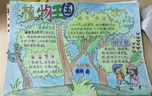 9月植物手抄报欣赏